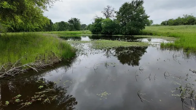 a view of a lake from a yard