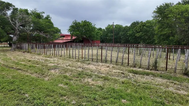 a view of backyard with green space and trees