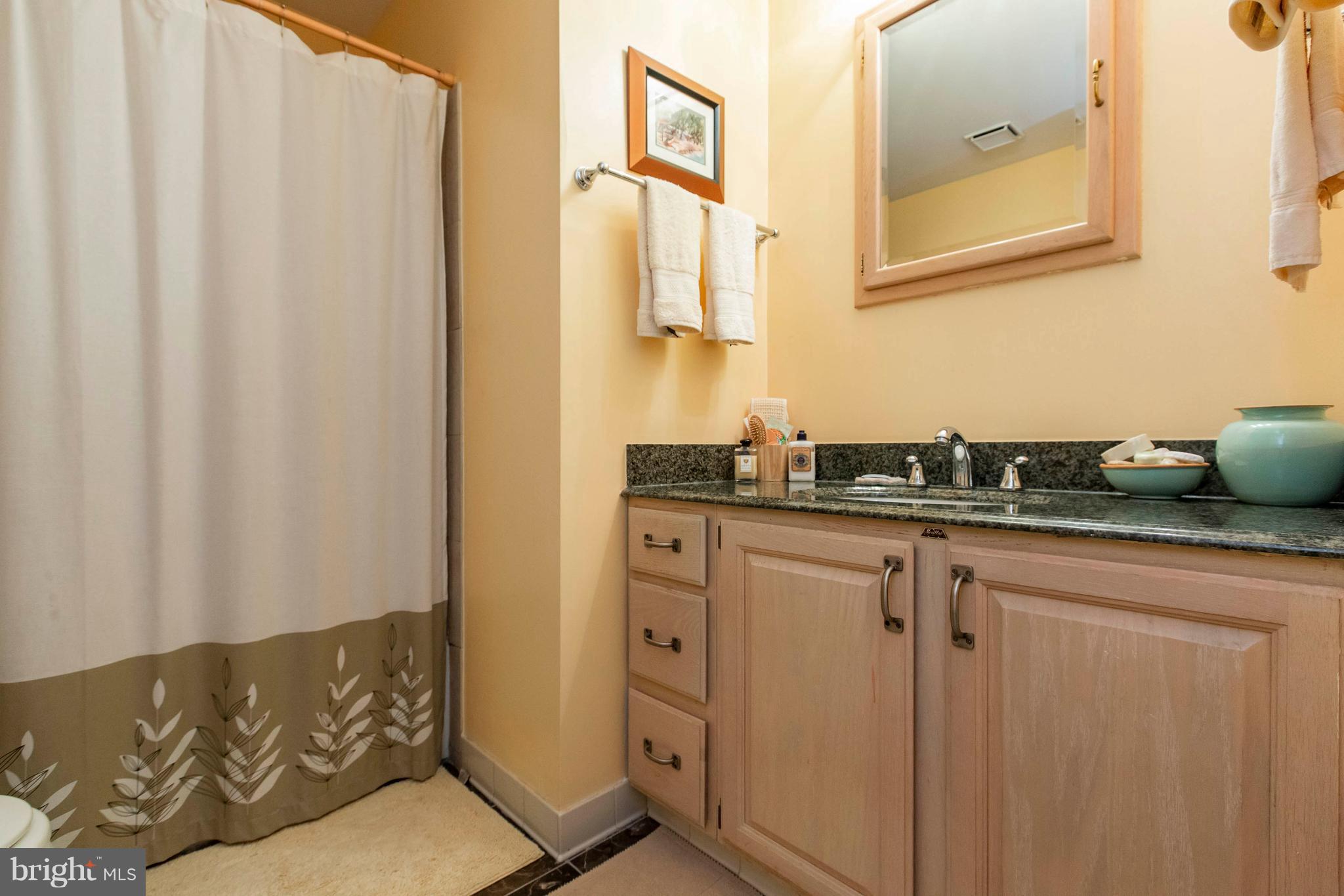 145 Bonifant Road Silver Spring, MD 20905 - Photo 19 of 29 Bath