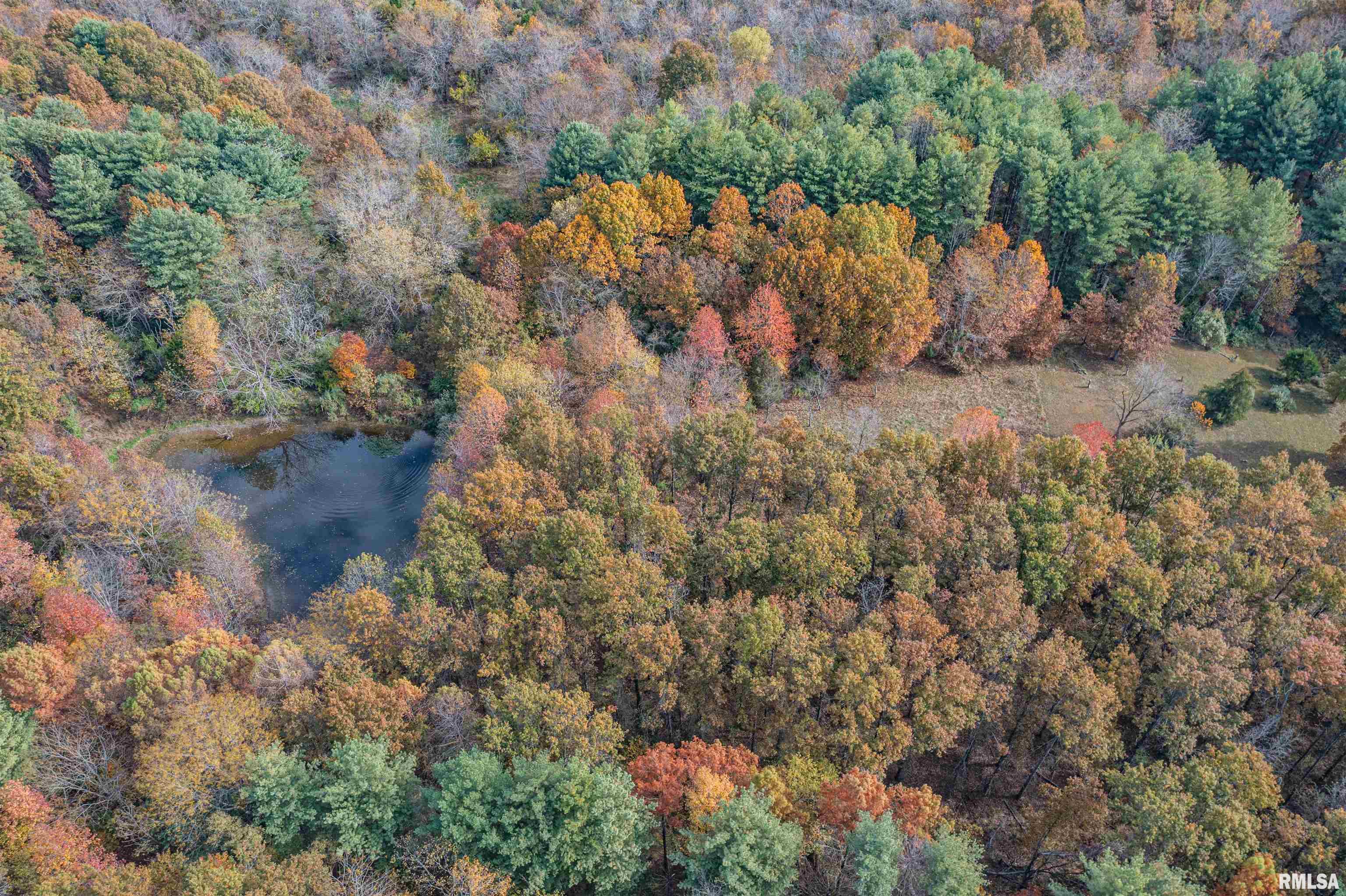 400-block Edgewood Road Salem, IL 62881 - Photo 12 of 72