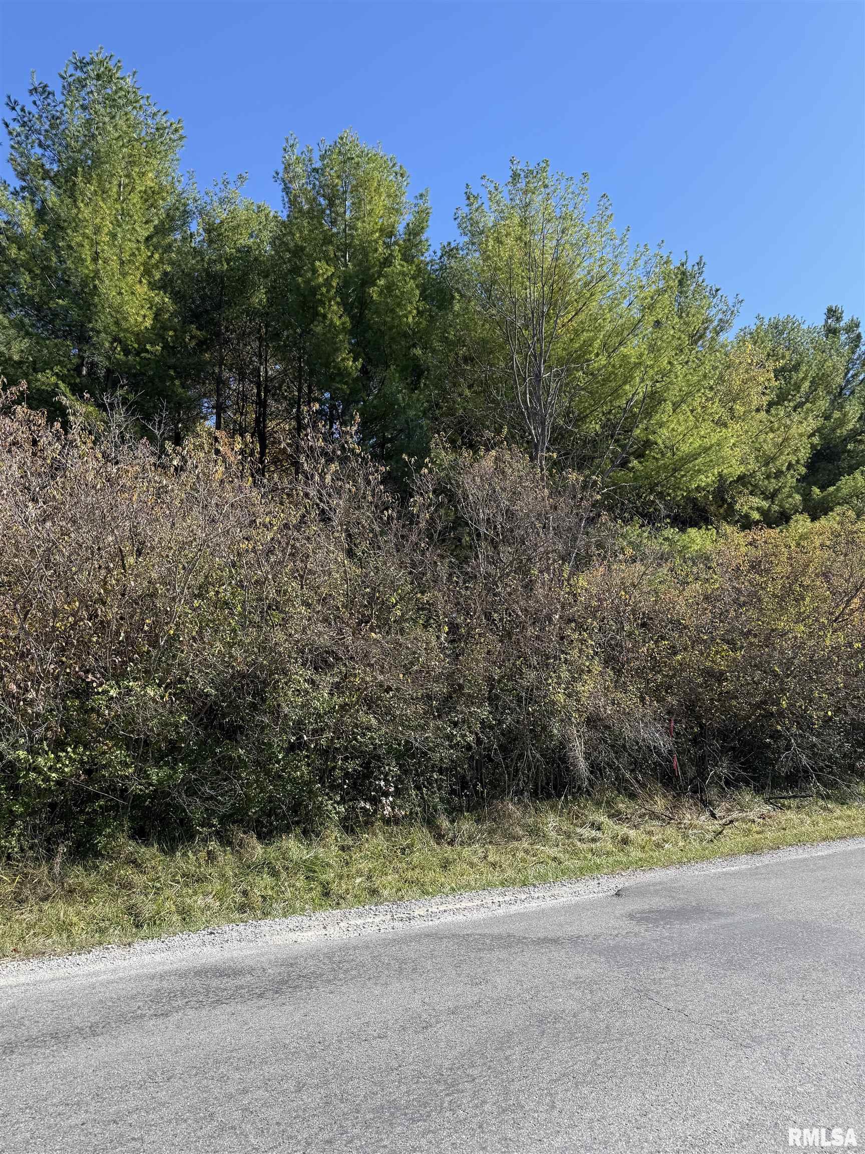 400-block Edgewood Road Salem, IL 62881 - Photo 14 of 72