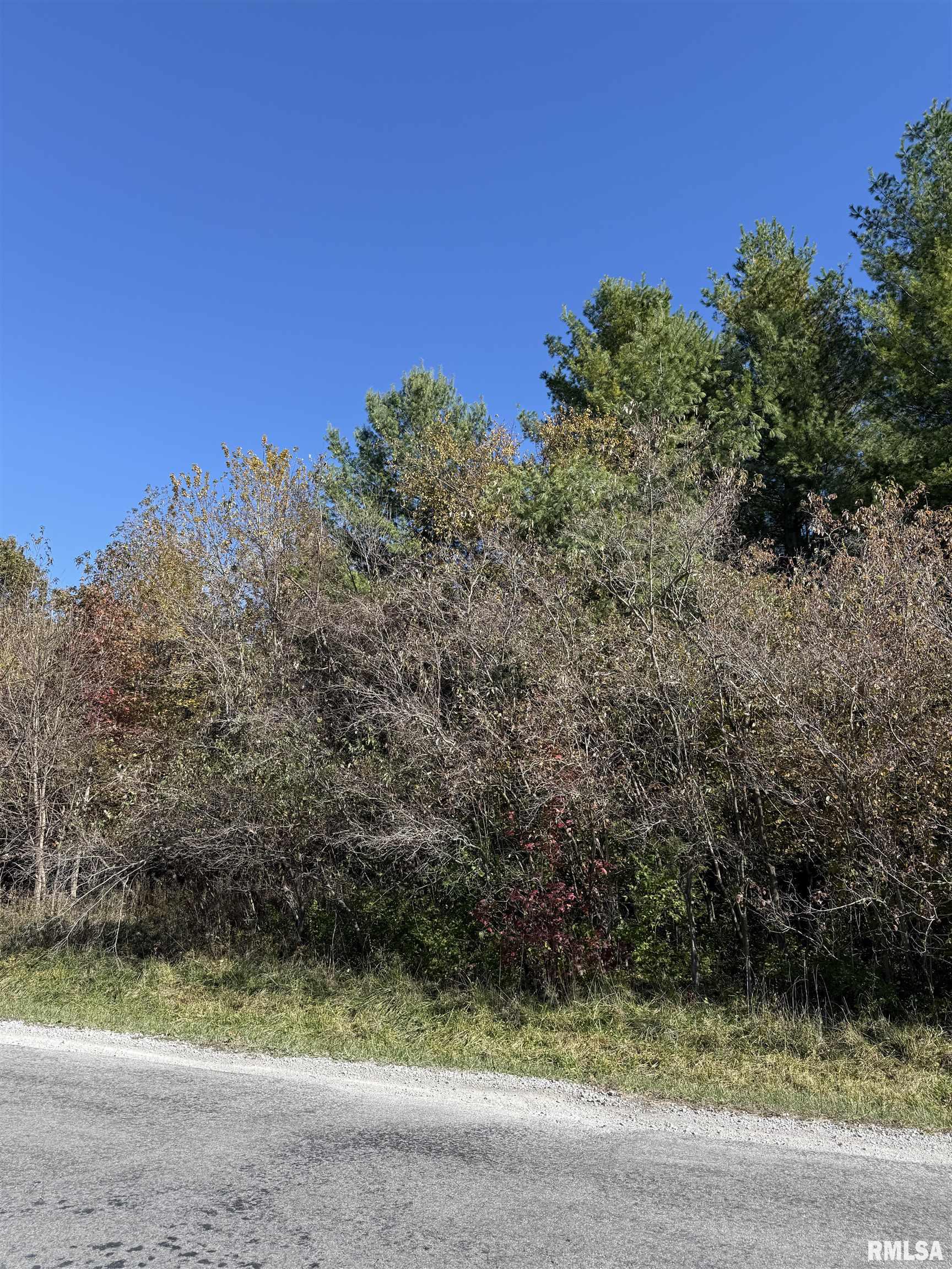 400-block Edgewood Road Salem, IL 62881 - Photo 15 of 72