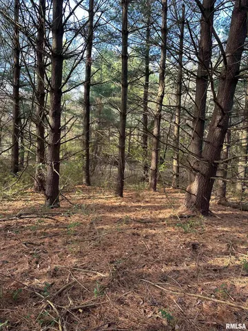 $220,000 | 400-block Edgewood Road, Salem, IL 62881