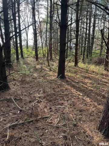 $220,000 | 400-block Edgewood Road, Salem, IL 62881