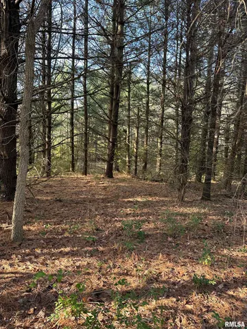 $220,000 | 400-block Edgewood Road, Salem, IL 62881