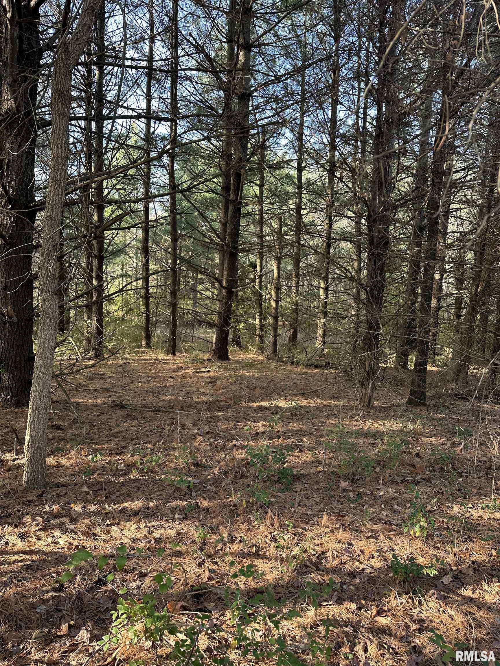 400-block Edgewood Road Salem, IL 62881 - Photo 18 of 72