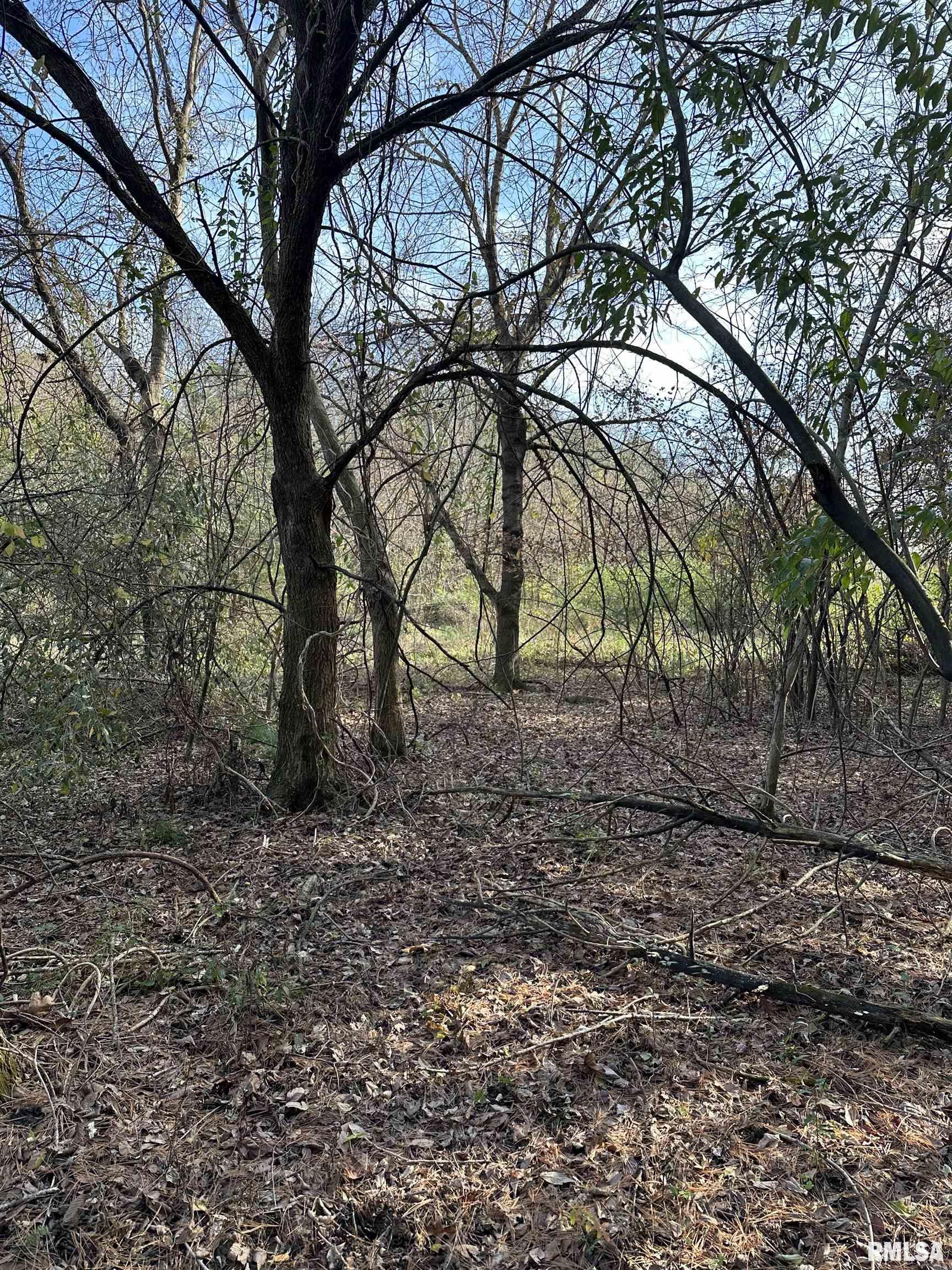 400-block Edgewood Road Salem, IL 62881 - Photo 19 of 72