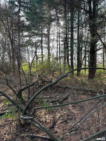 $220,000 | 400-block Edgewood Road, Salem, IL 62881