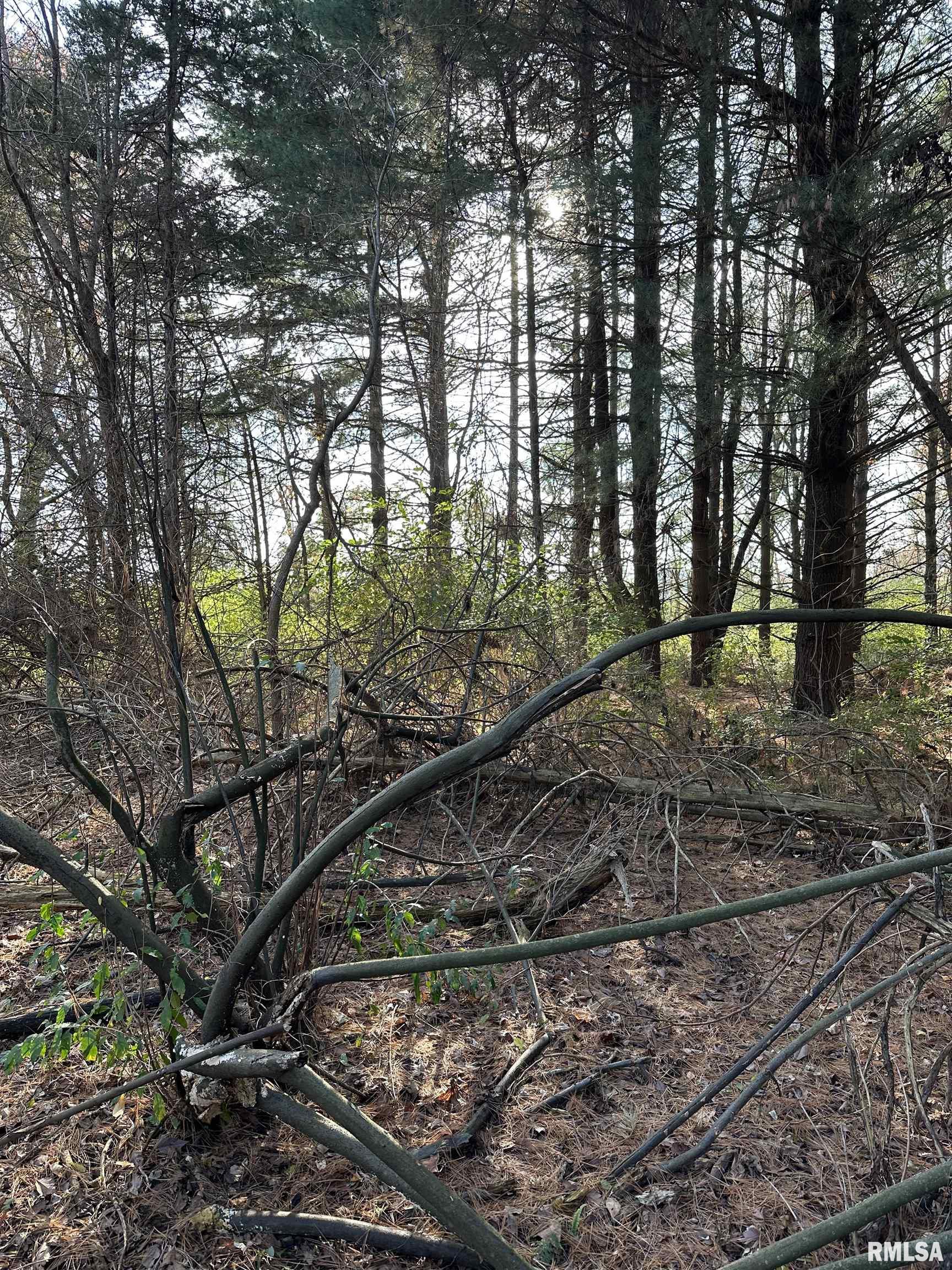 400-block Edgewood Road Salem, IL 62881 - Photo 20 of 72