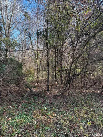 $220,000 | 400-block Edgewood Road, Salem, IL 62881