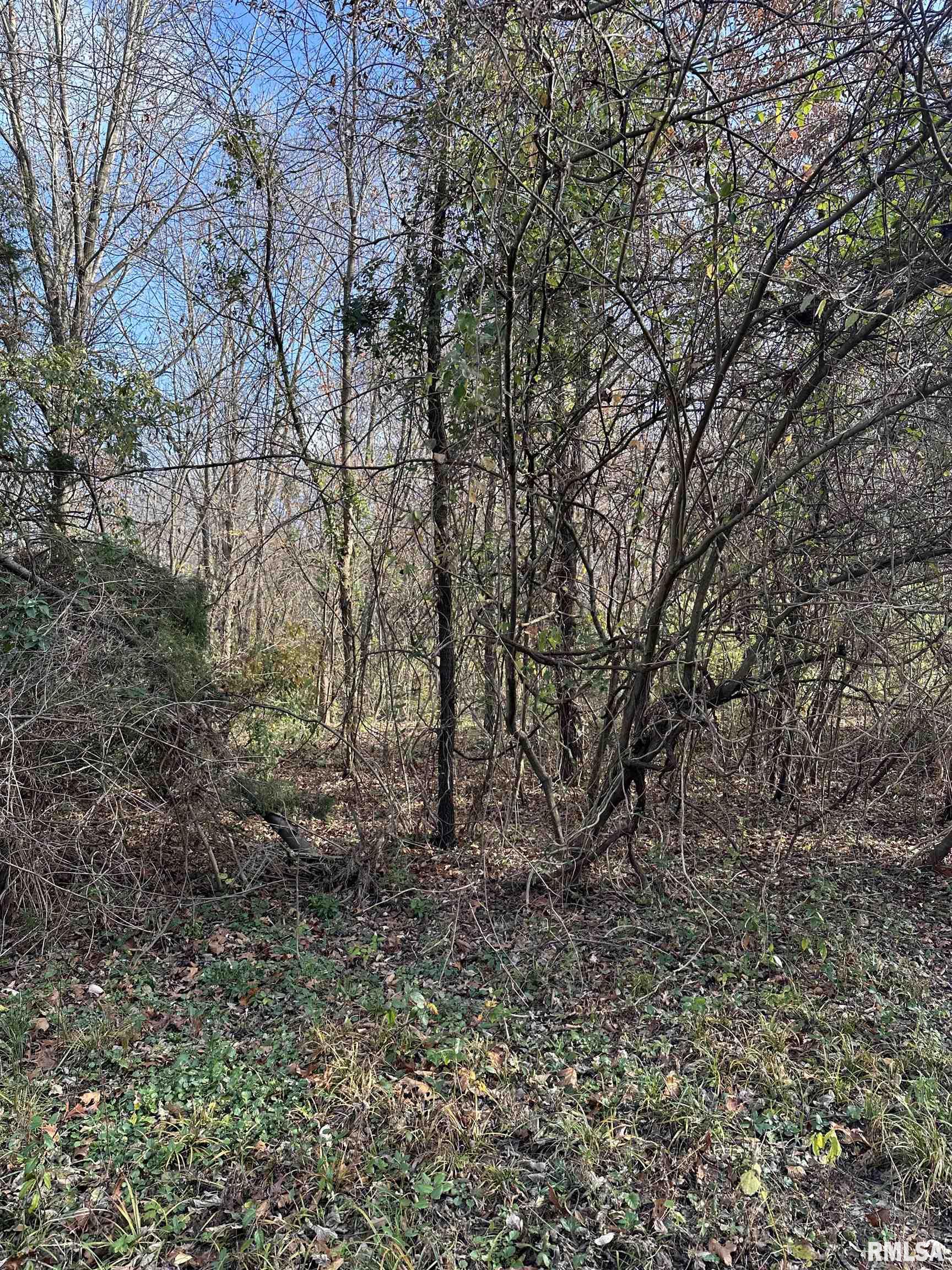 400-block Edgewood Road Salem, IL 62881 - Photo 21 of 72