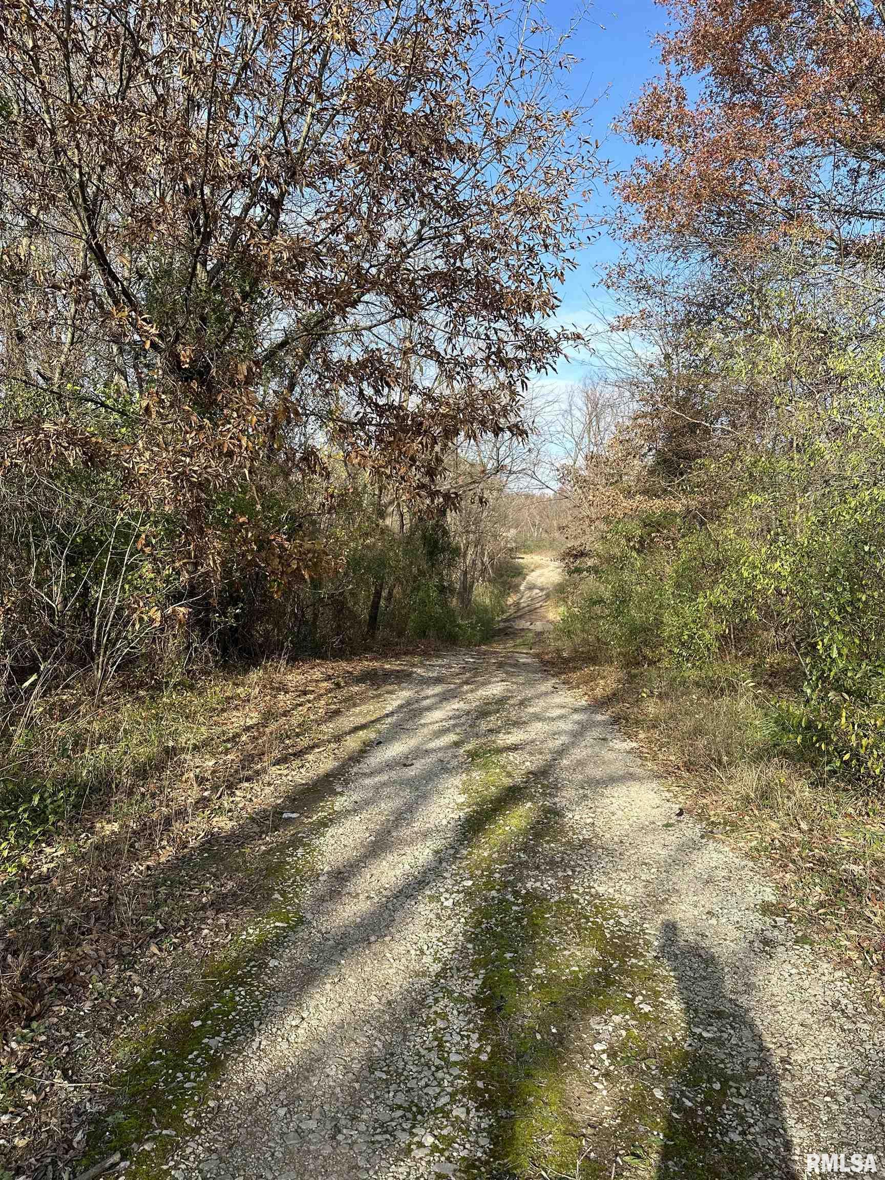 400-block Edgewood Road Salem, IL 62881 - Photo 22 of 72