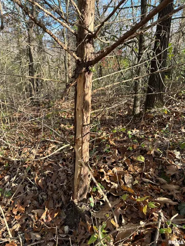 $220,000 | 400-block Edgewood Road, Salem, IL 62881