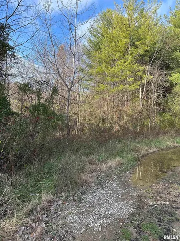 $220,000 | 400-block Edgewood Road, Salem, IL 62881