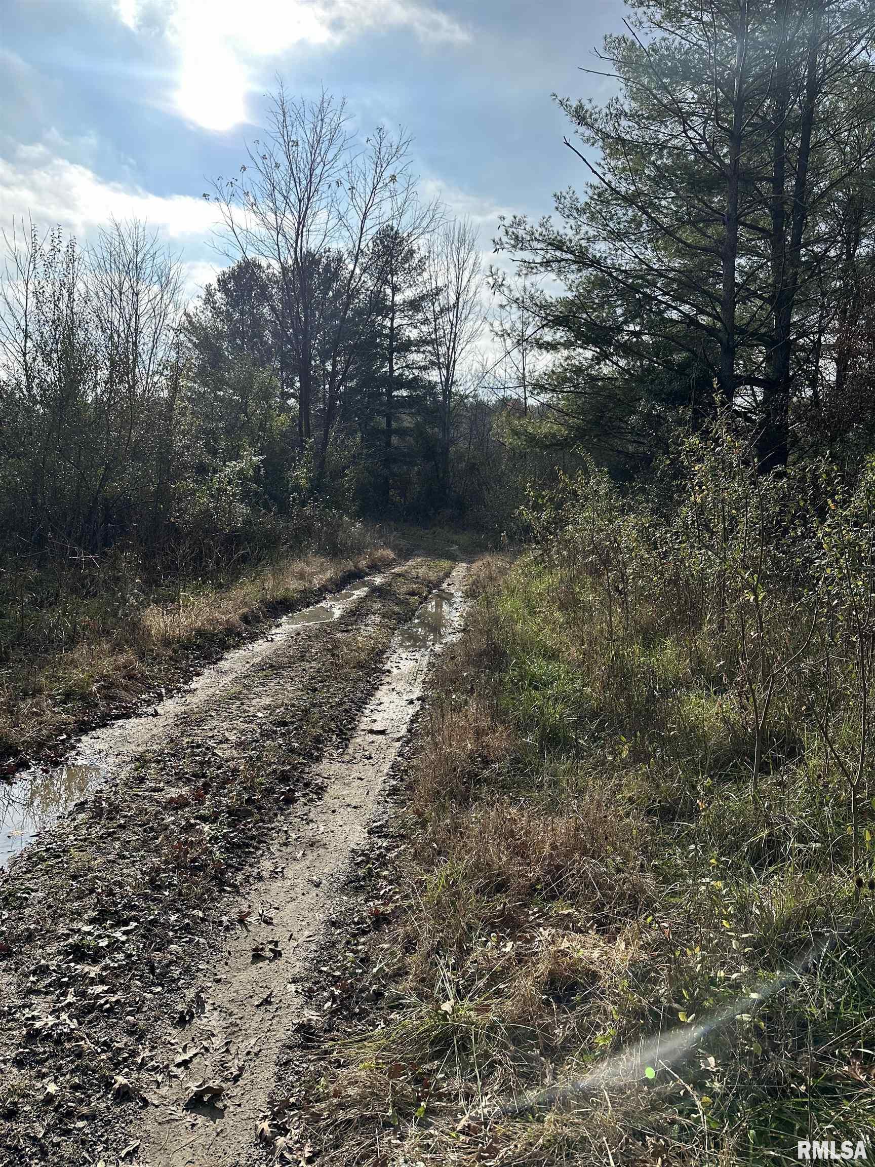 400-block Edgewood Road Salem, IL 62881 - Photo 27 of 72