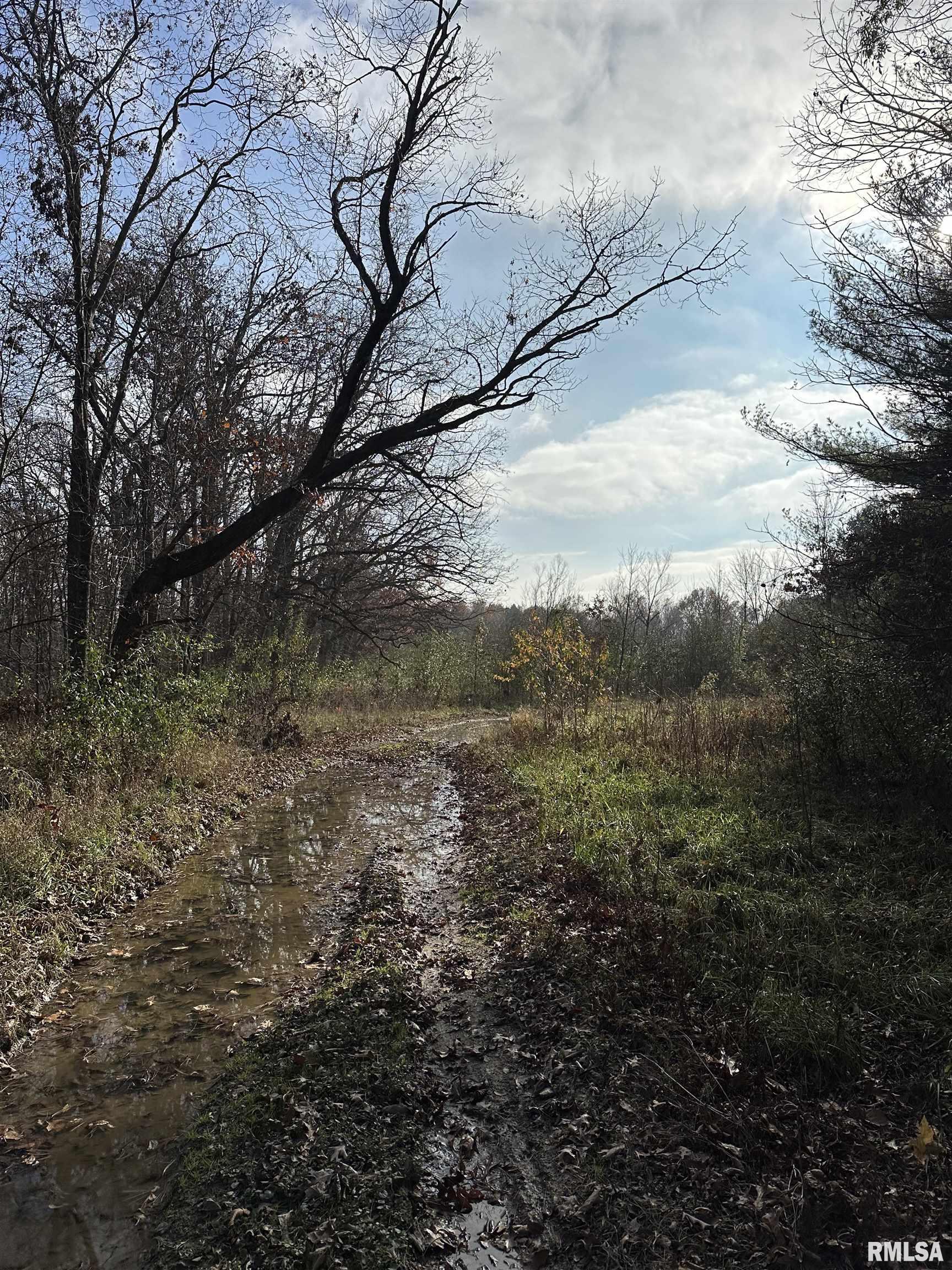 400-block Edgewood Road Salem, IL 62881 - Photo 28 of 72