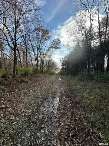 $220,000 | 400-block Edgewood Road, Salem, IL 62881