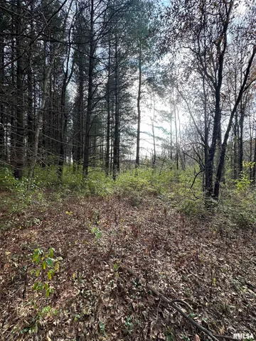 $220,000 | 400-block Edgewood Road, Salem, IL 62881