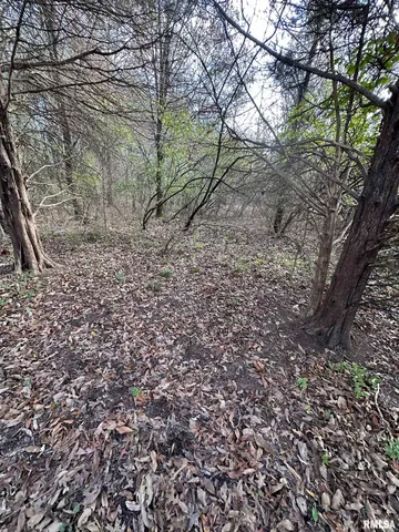 $220,000 | 400-block Edgewood Road, Salem, IL 62881