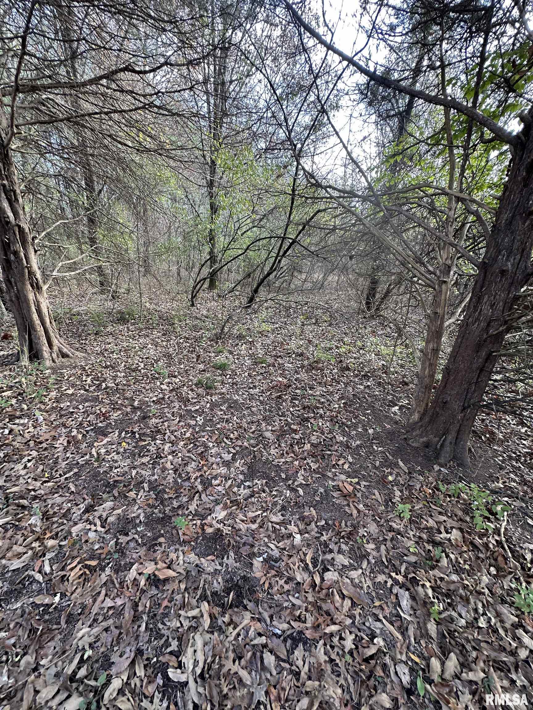 400-block Edgewood Road Salem, IL 62881 - Photo 32 of 72