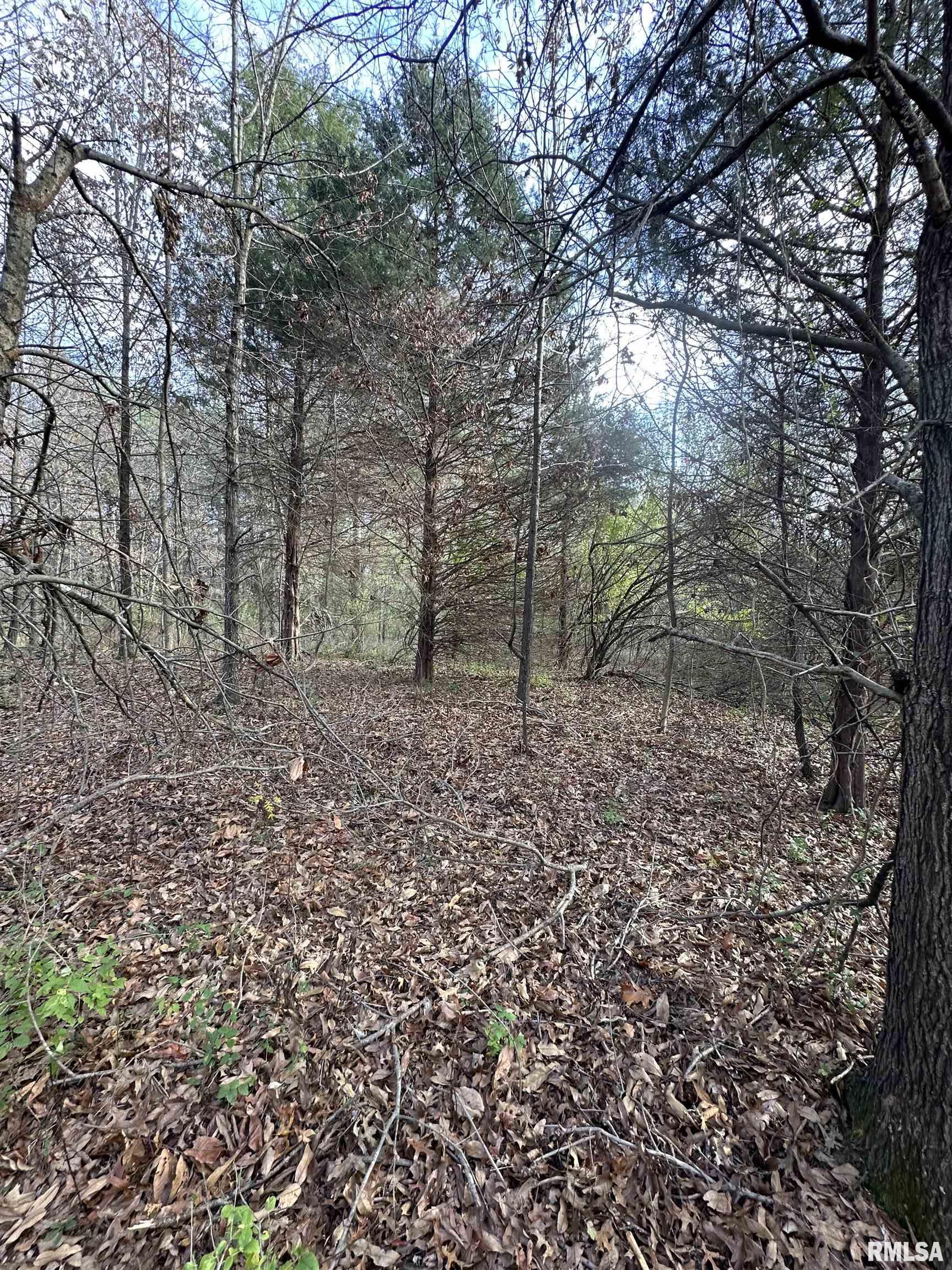 400-block Edgewood Road Salem, IL 62881 - Photo 33 of 72