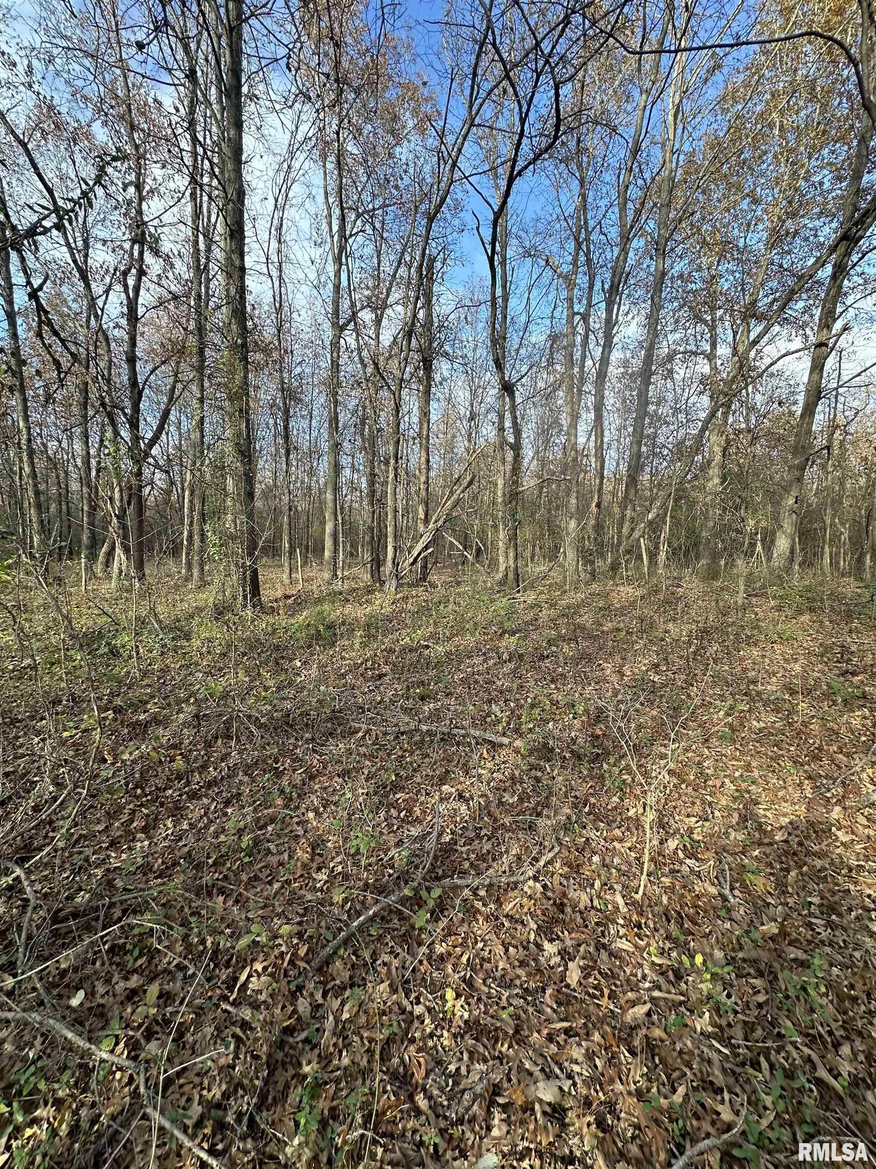 400-block Edgewood Road Salem, IL 62881 - Photo 34 of 72