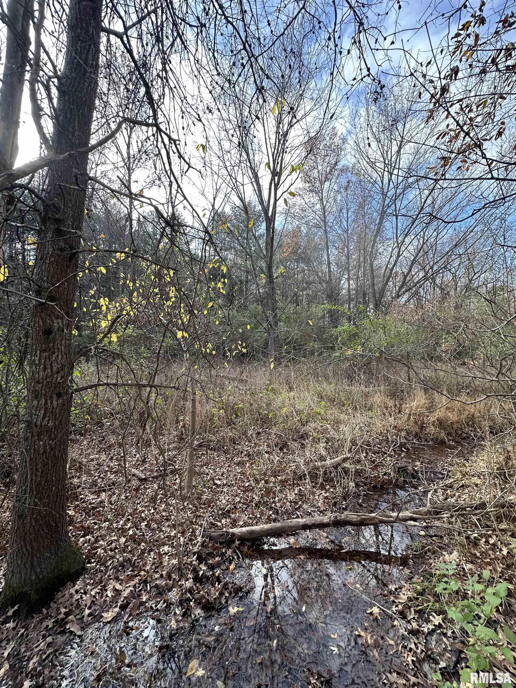 400-block Edgewood Road Salem, IL 62881 - Photo 35 of 72