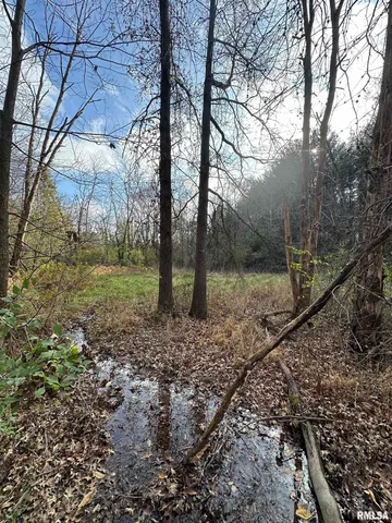 $220,000 | 400-block Edgewood Road, Salem, IL 62881