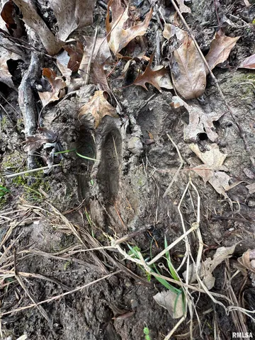 $220,000 | 400-block Edgewood Road, Salem, IL 62881