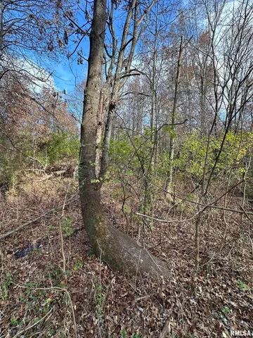 $220,000 | 400-block Edgewood Road, Salem, IL 62881