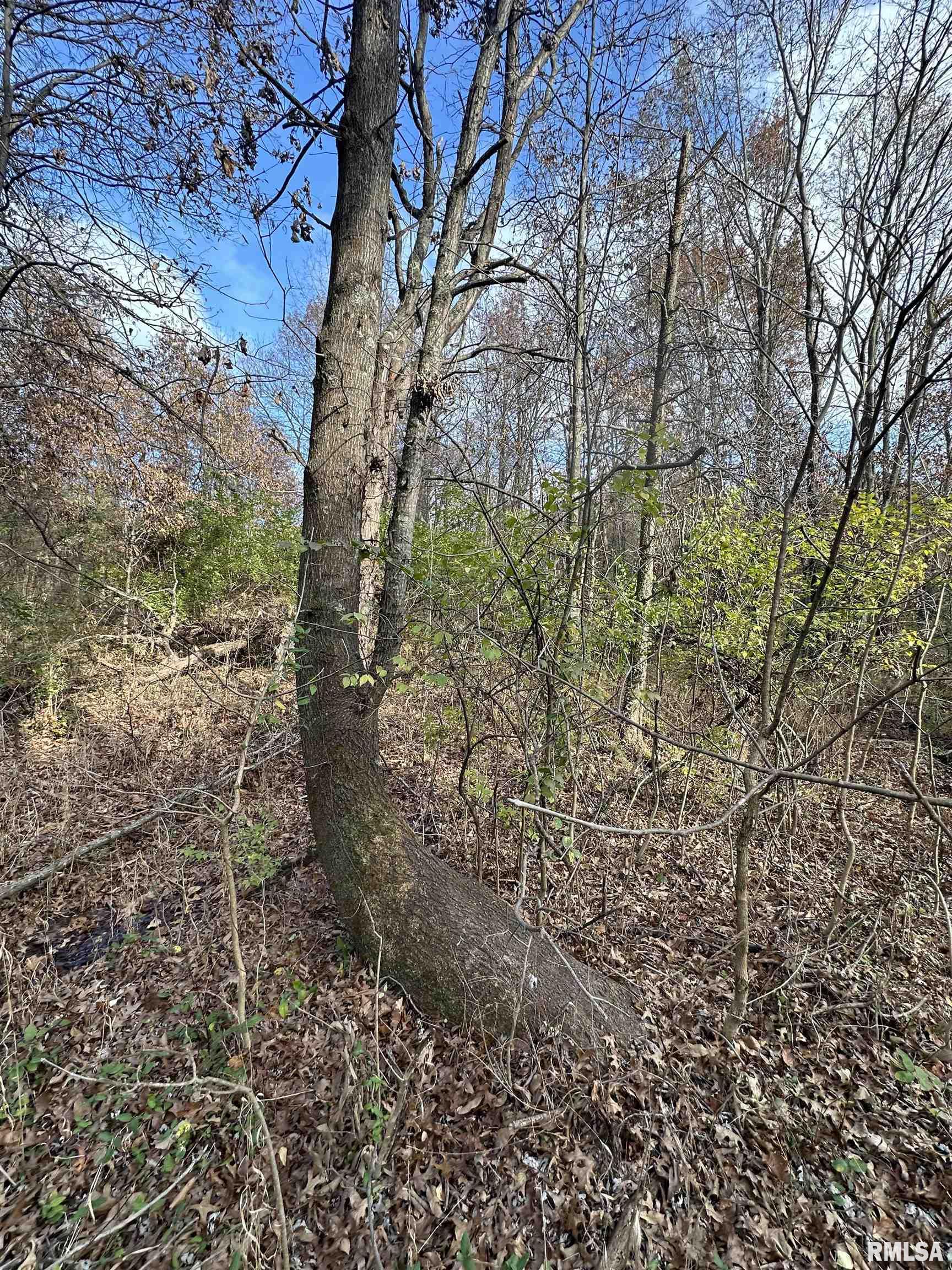 400-block Edgewood Road Salem, IL 62881 - Photo 38 of 72