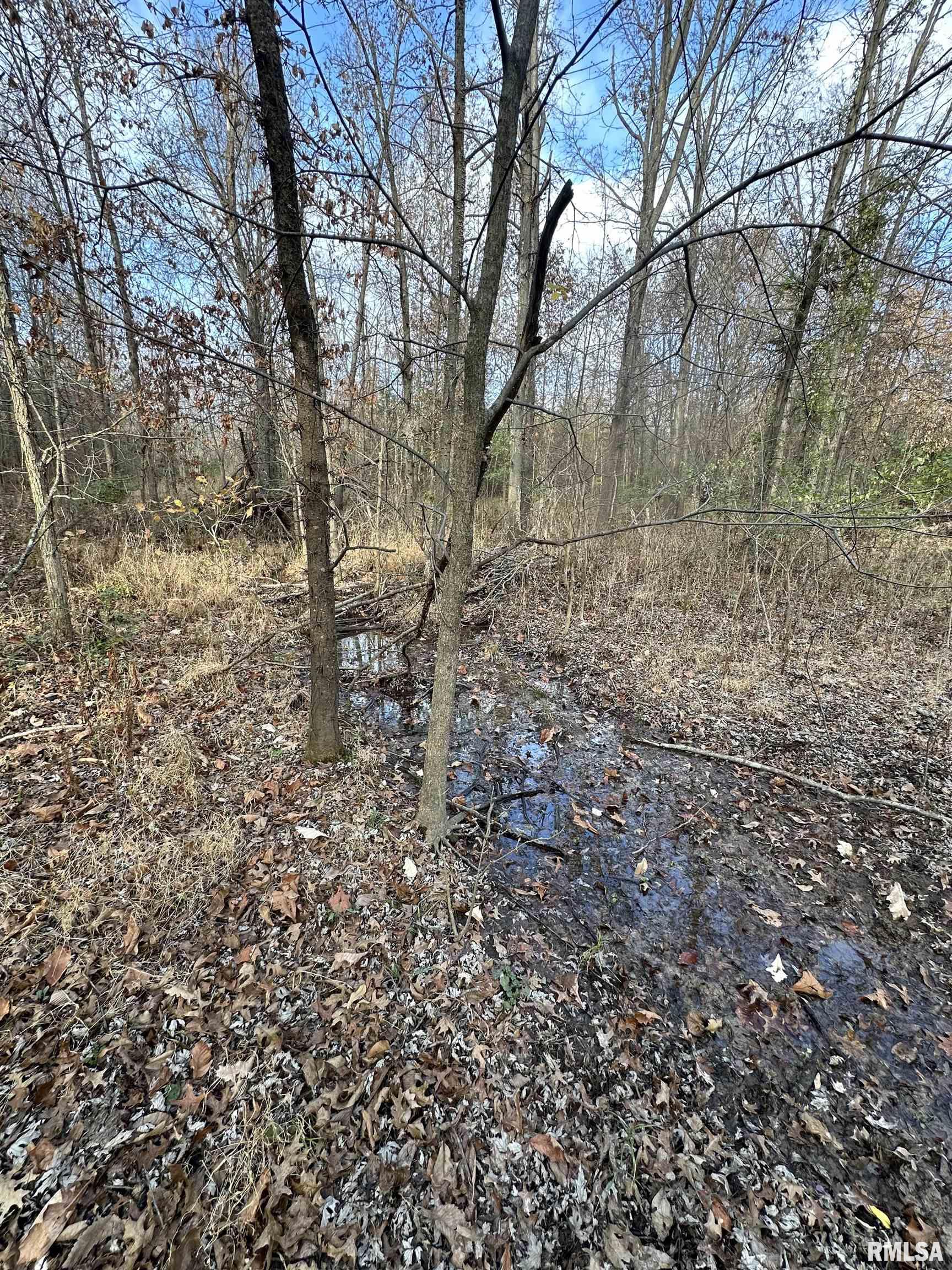 400-block Edgewood Road Salem, IL 62881 - Photo 39 of 72