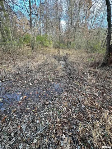 $220,000 | 400-block Edgewood Road, Salem, IL 62881