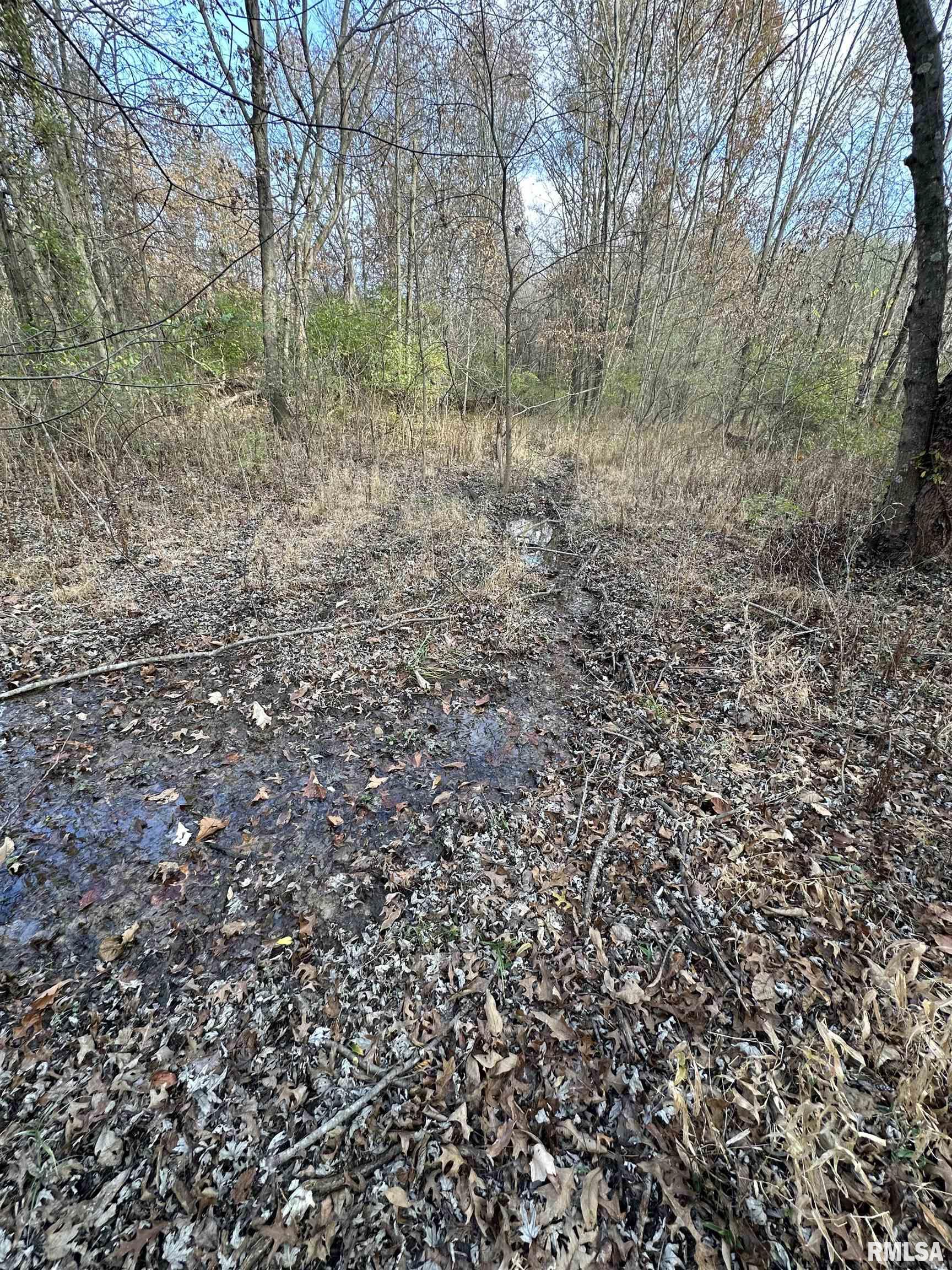 400-block Edgewood Road Salem, IL 62881 - Photo 40 of 72