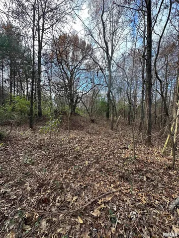 $220,000 | 400-block Edgewood Road, Salem, IL 62881