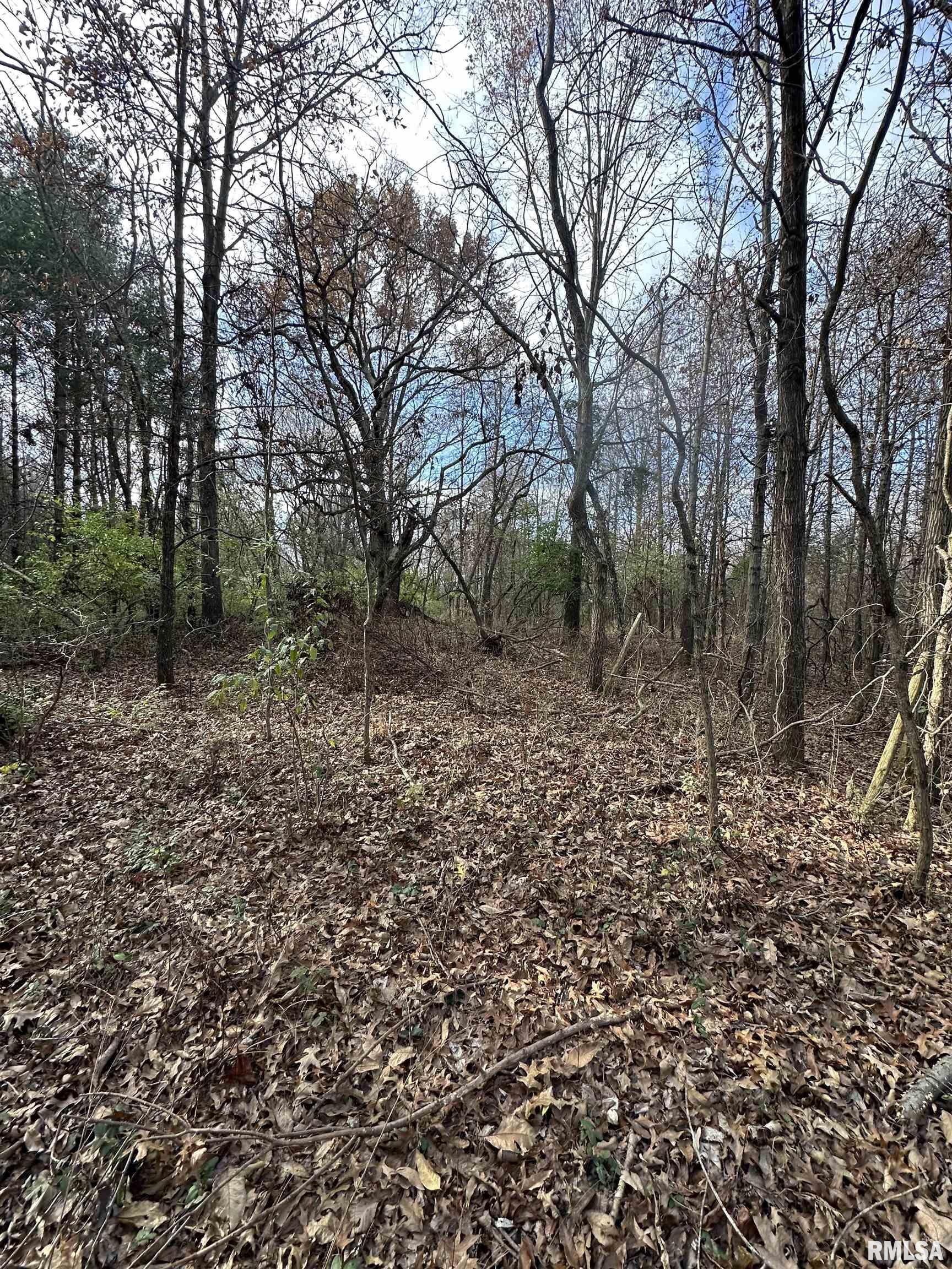 400-block Edgewood Road Salem, IL 62881 - Photo 41 of 72