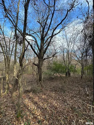 $220,000 | 400-block Edgewood Road, Salem, IL 62881