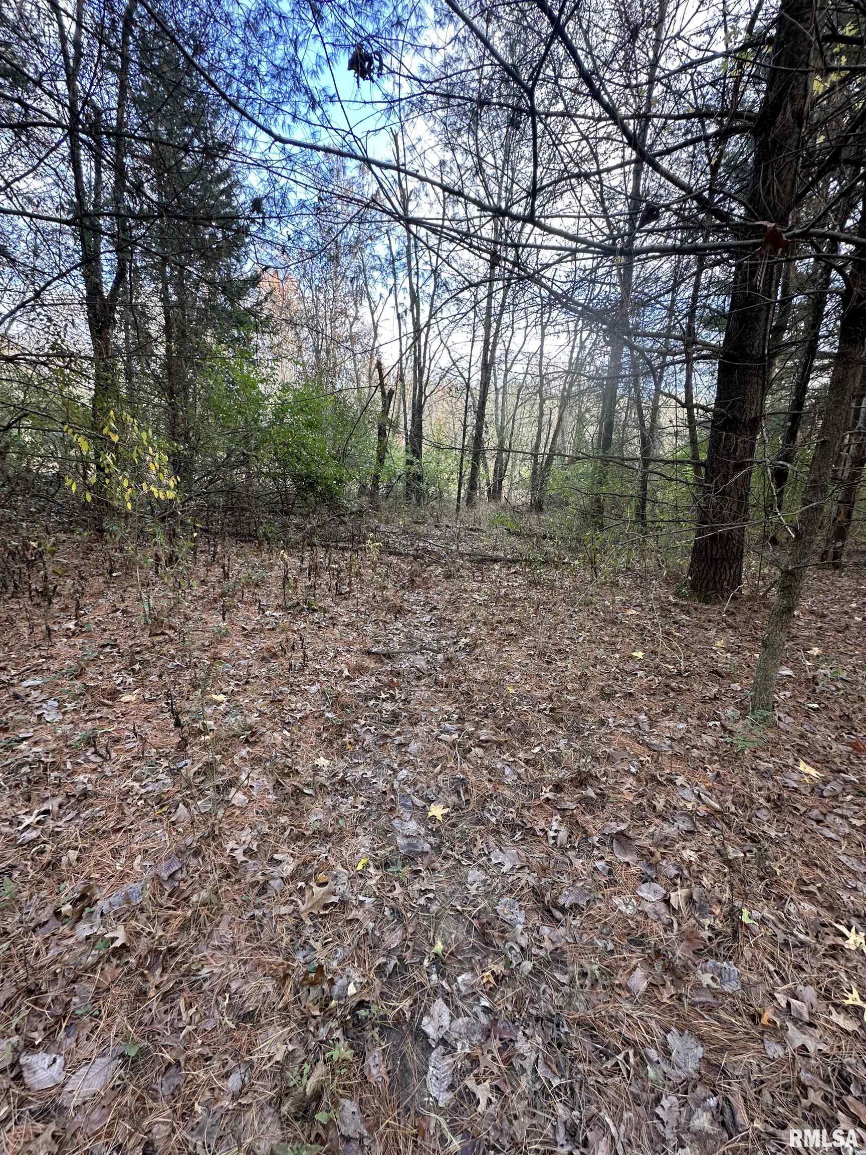 400-block Edgewood Road Salem, IL 62881 - Photo 43 of 72