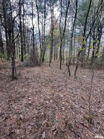 $220,000 | 400-block Edgewood Road, Salem, IL 62881