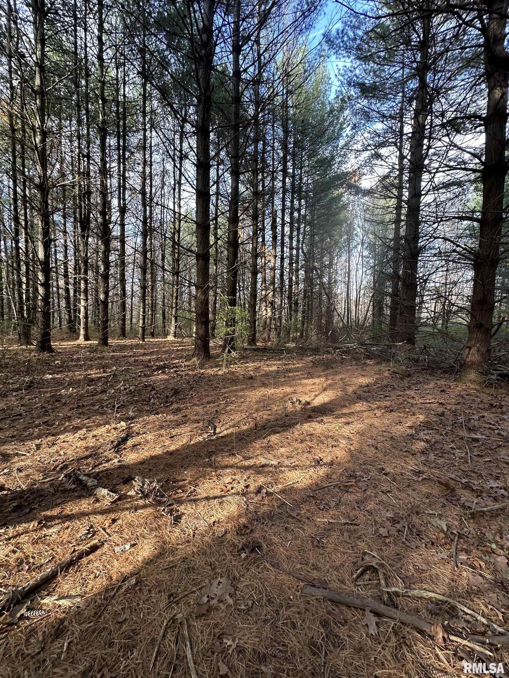 400-block Edgewood Road Salem, IL 62881 - Photo 45 of 72