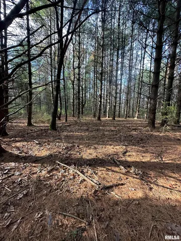 $220,000 | 400-block Edgewood Road, Salem, IL 62881