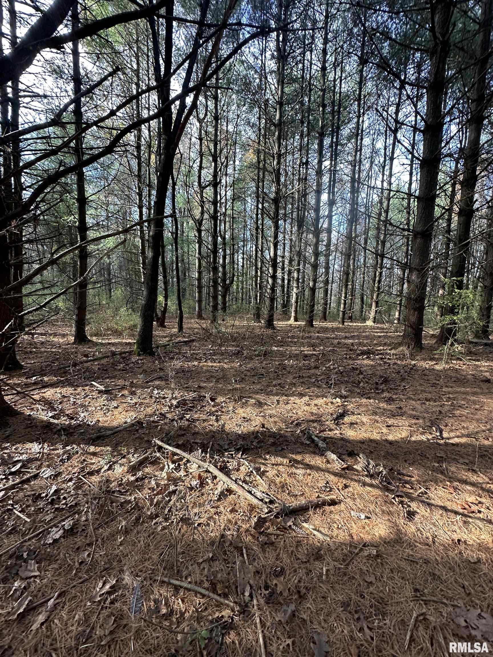 400-block Edgewood Road Salem, IL 62881 - Photo 46 of 72