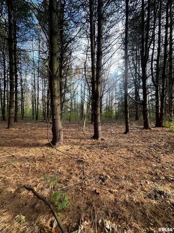 $220,000 | 400-block Edgewood Road, Salem, IL 62881