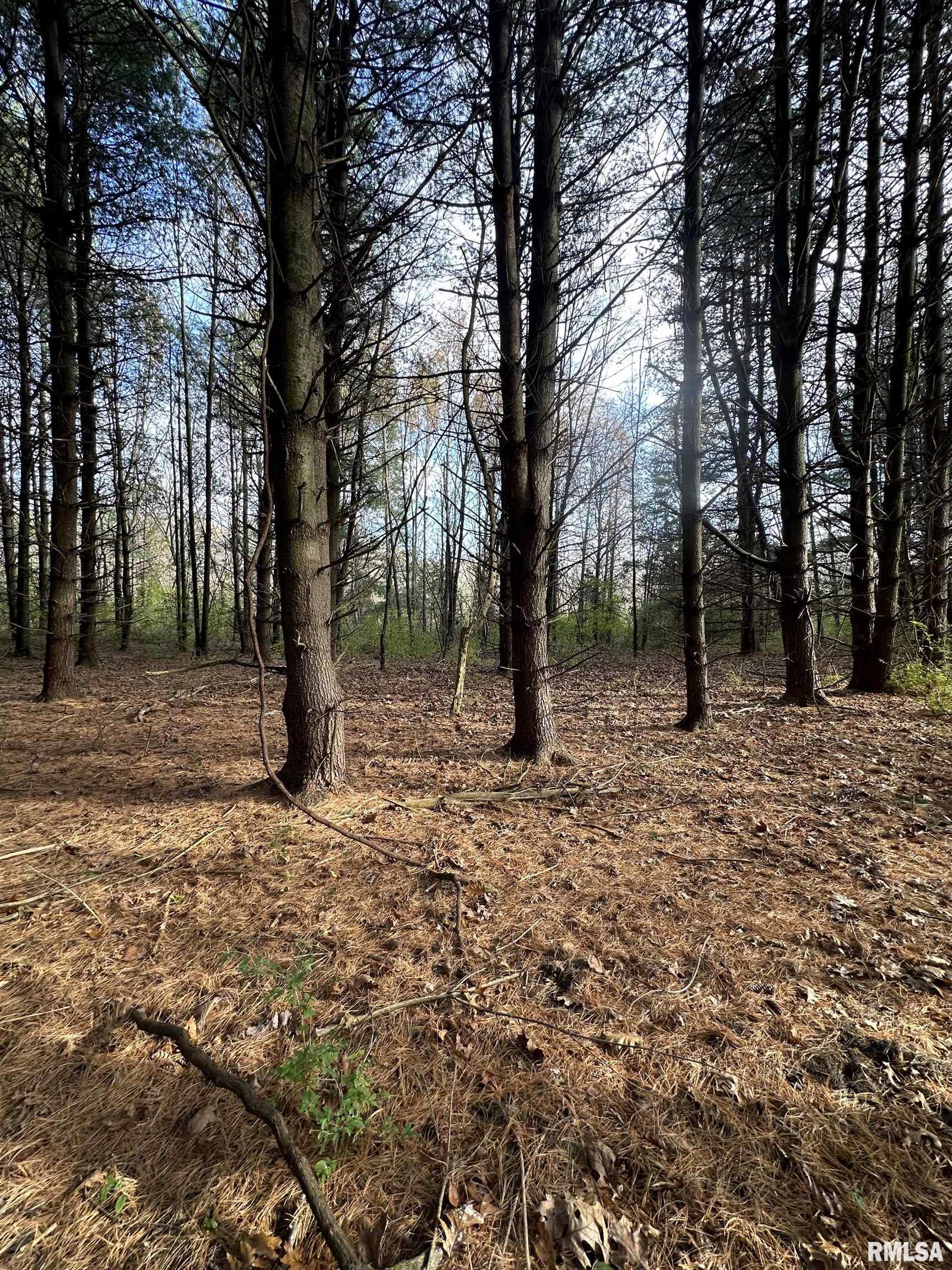 400-block Edgewood Road Salem, IL 62881 - Photo 47 of 72