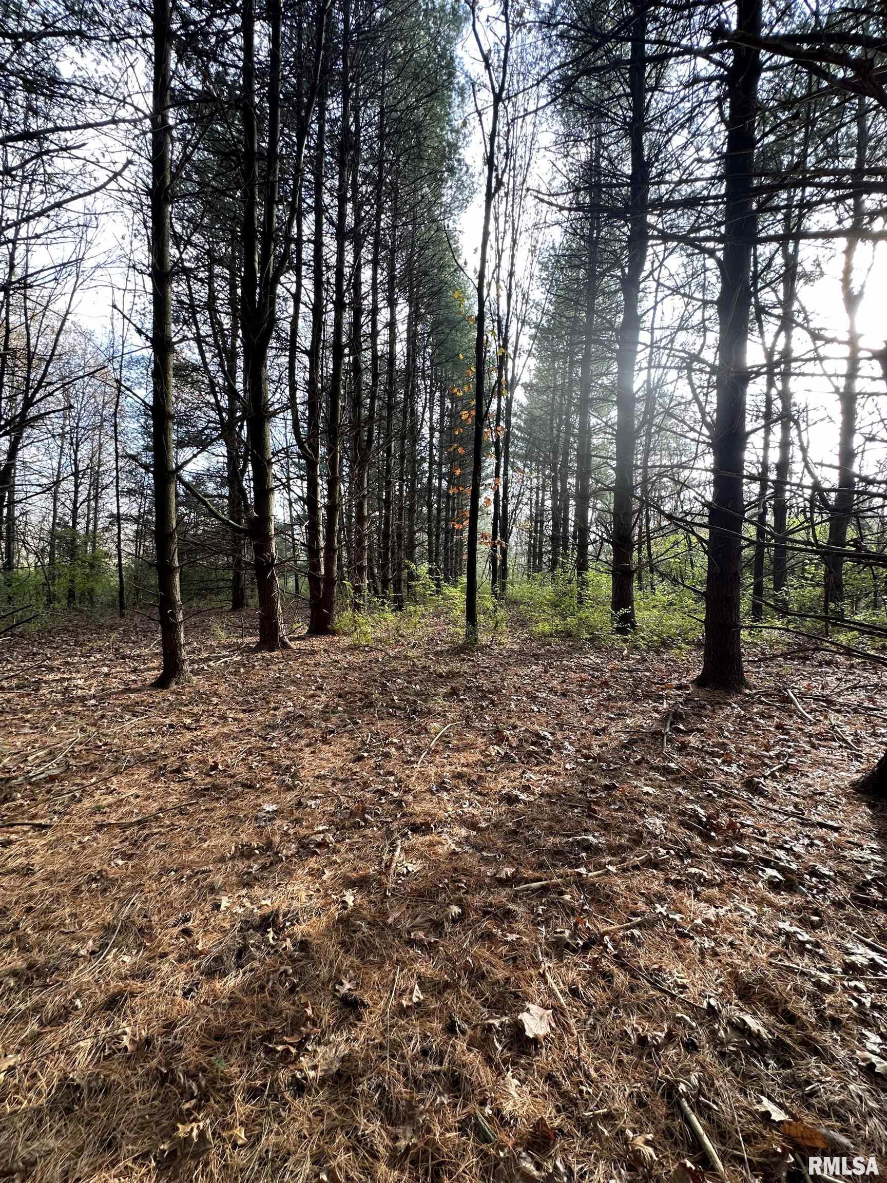 400-block Edgewood Road Salem, IL 62881 - Photo 48 of 72