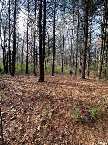 $220,000 | 400-block Edgewood Road, Salem, IL 62881