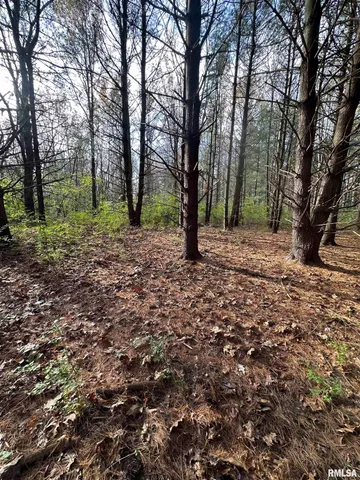 $220,000 | 400-block Edgewood Road, Salem, IL 62881