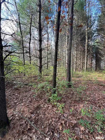 $220,000 | 400-block Edgewood Road, Salem, IL 62881