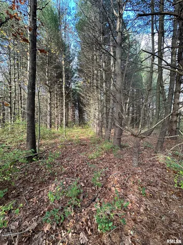 $220,000 | 400-block Edgewood Road, Salem, IL 62881