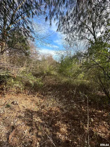 $220,000 | 400-block Edgewood Road, Salem, IL 62881